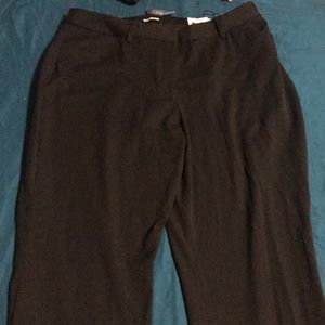 Express publist pants